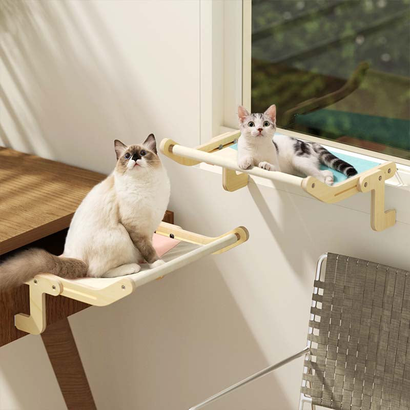 Cat Window Perch Best Window Perch for Kittens & Adult Cats Mewoofun