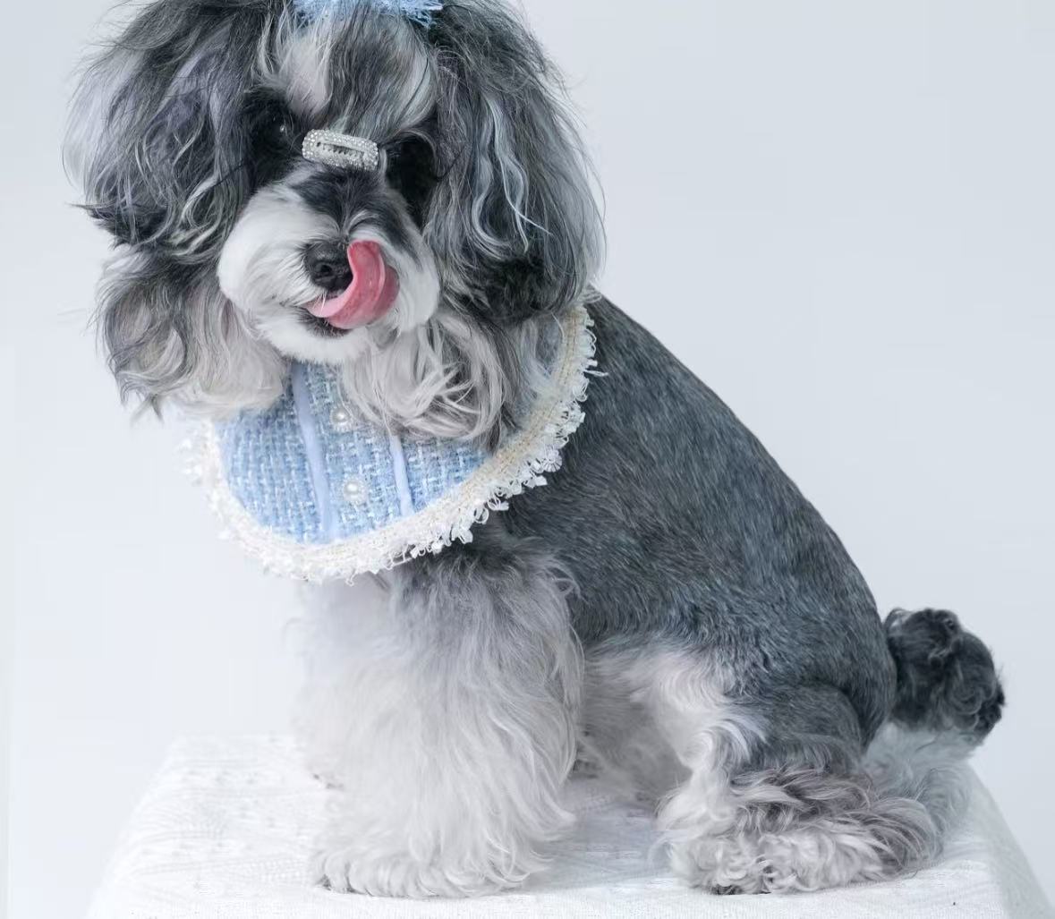 BZPET Luxurious Style Saliva Towel For Dogs And Cats