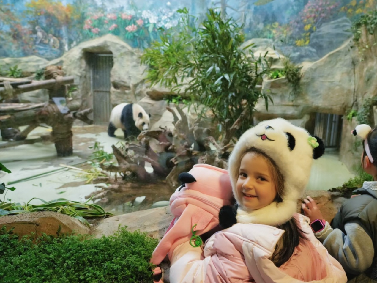 (2–7 pax group)1-Day Panda Park & Dujiangyan Tour-Lunch included