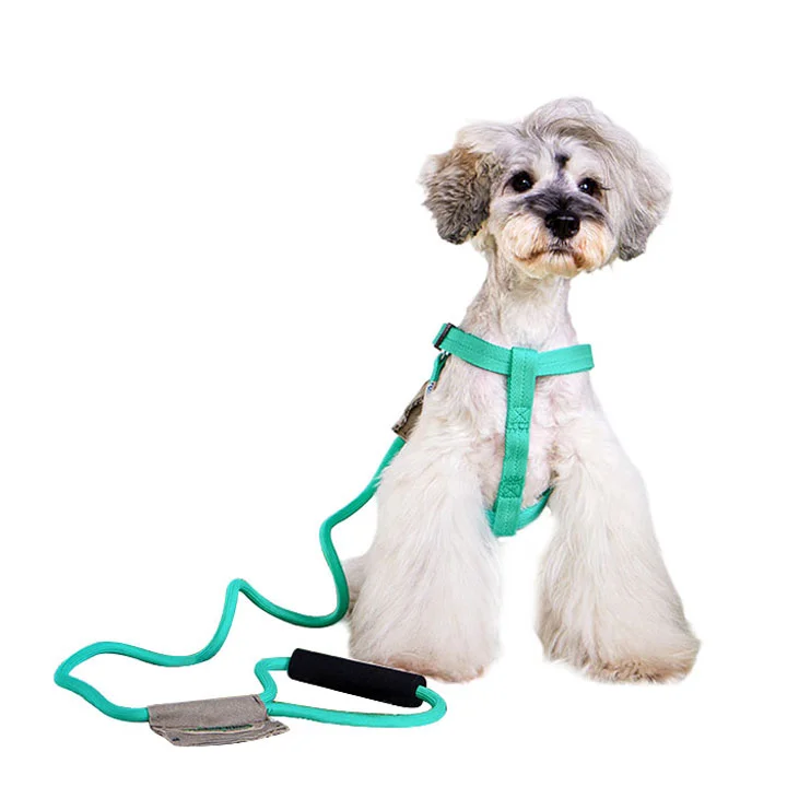 Dog Leash Dog Chain