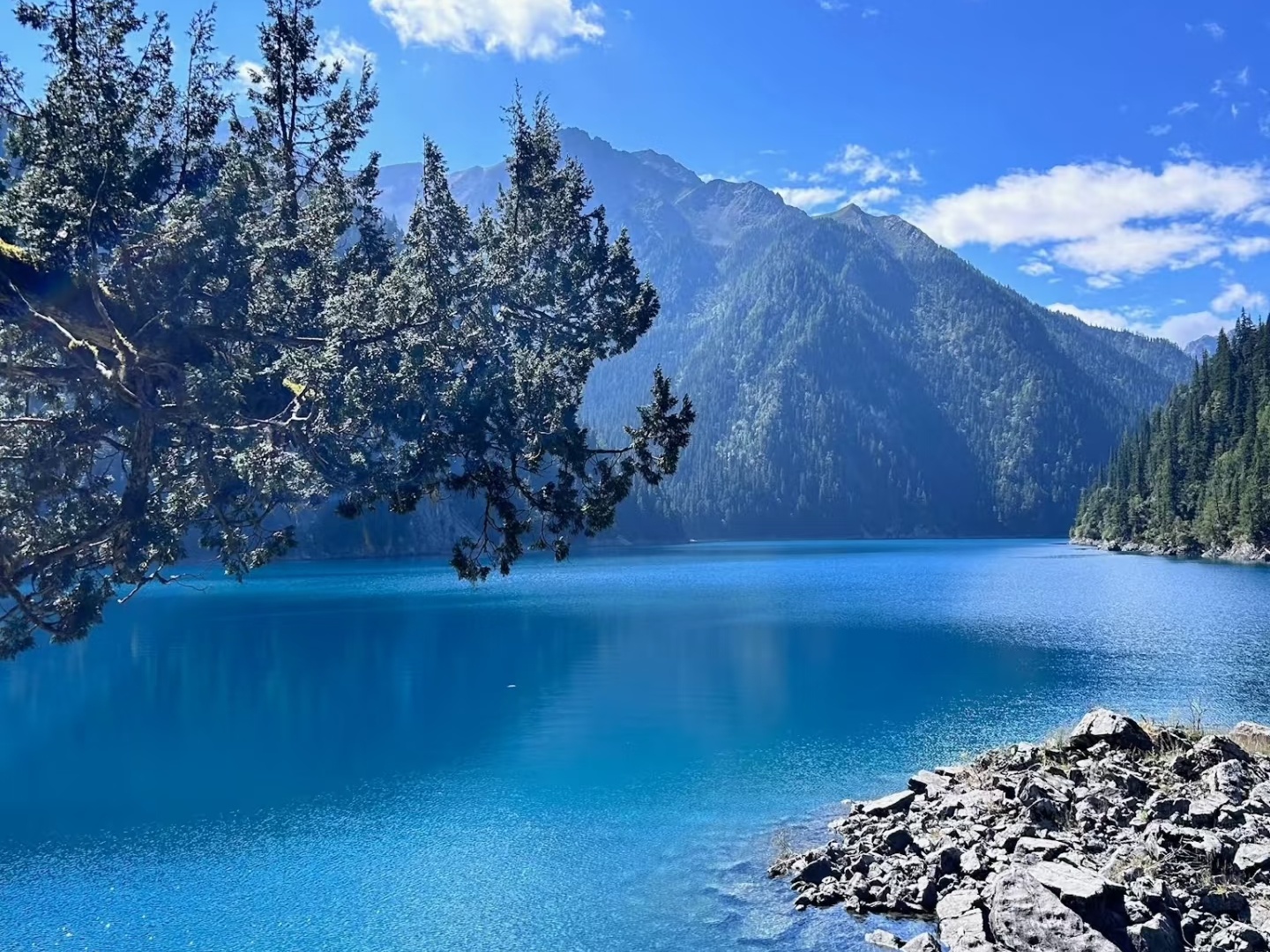 8-Day Sichuan Nature & Culture Tour: Jiuzhaigou, Huanglong, Mount Emei, Dujiangyan & Panda Park ( Big Chinese-speaking Group)