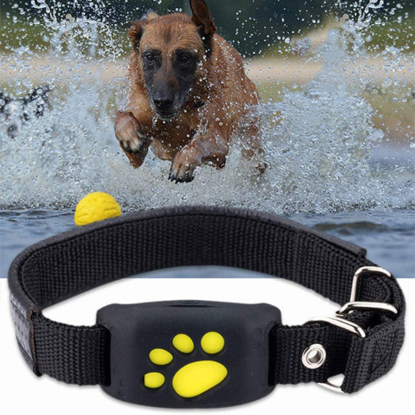 Smart GPS Cat and Dog Collar Tracker