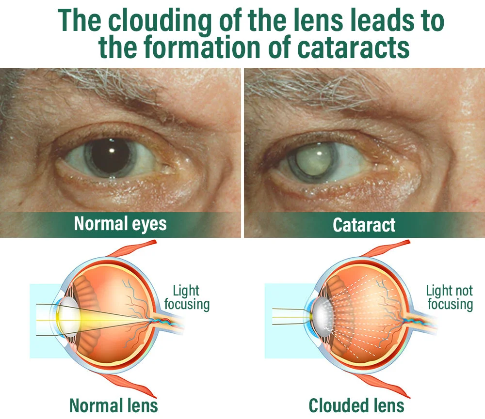 00f8bc1a7f9c4f1ba7ee98f54e3d6aaf