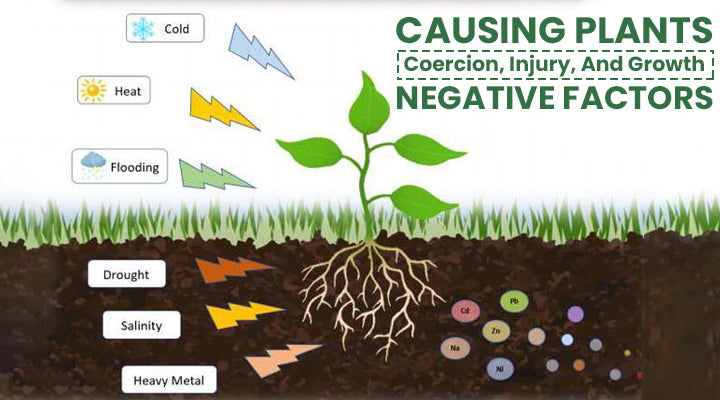 LIMETOW® Plant Resurrection Liquid image LIMETOW® Plant Resurrection Liquid