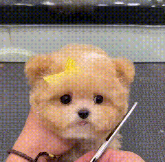 02ef96a7bc5cafe2c9799a12fb339daf