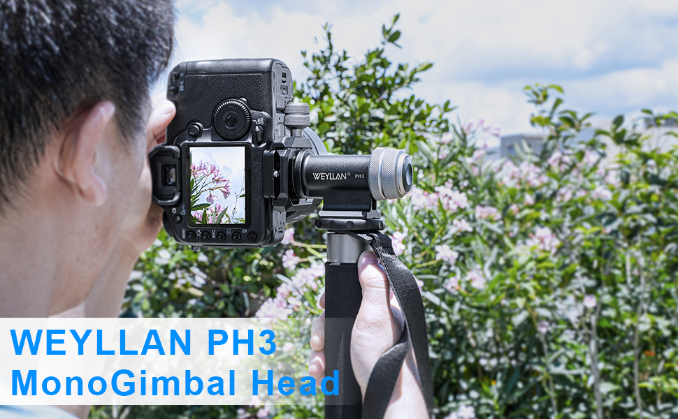 WEYLLAN - Camera Tripod, Head and Accessories