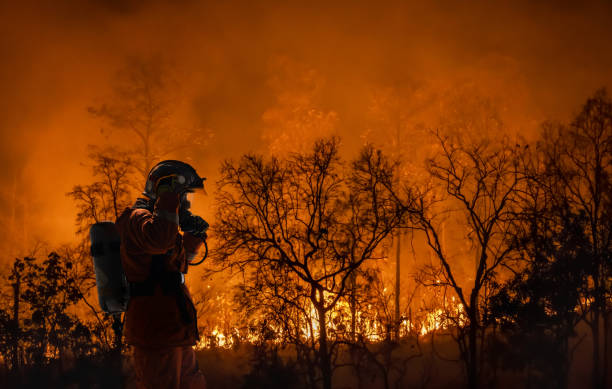 Firefighters battle a wildfire because climate change and global warming is a driver of global wildfire trends. Firefighters battle a wildfire because climate change and global warming is a driver of global wildfire trends. American Firefighter stock pictures, royalty-free photos & images