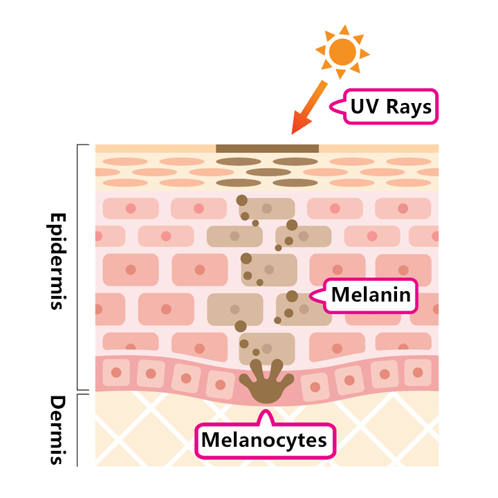 116fd25757d0e8c315f0a726d22ea999