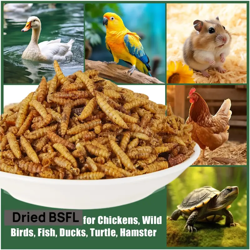 11e151ceac86e686a9966cc0659c38ae