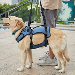 COODEO dog lift harness