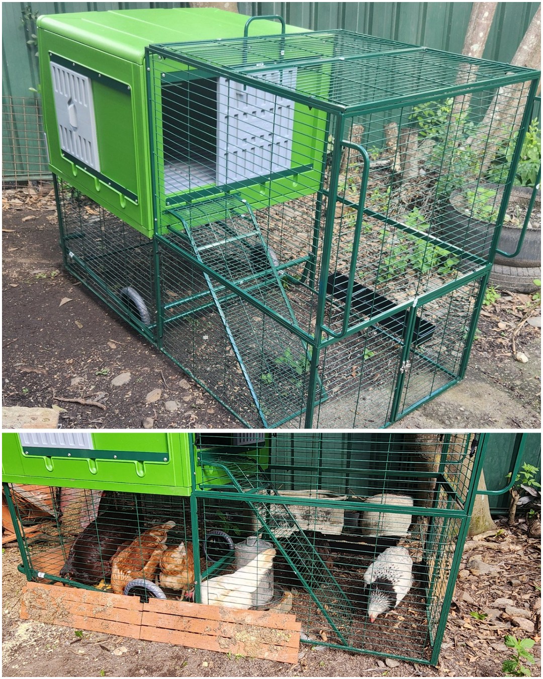 Mobile Chicken Coop Run with For 2-10 Large Hens House 15da416e2ae57dfdd16abeddc5179416