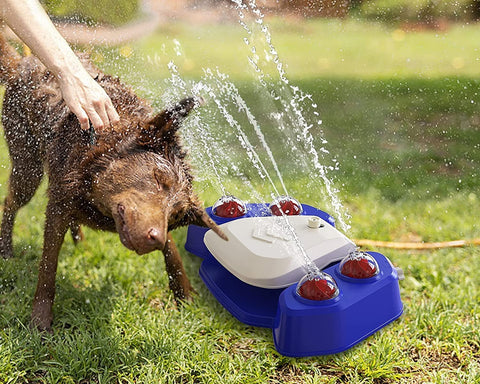 dog fountain