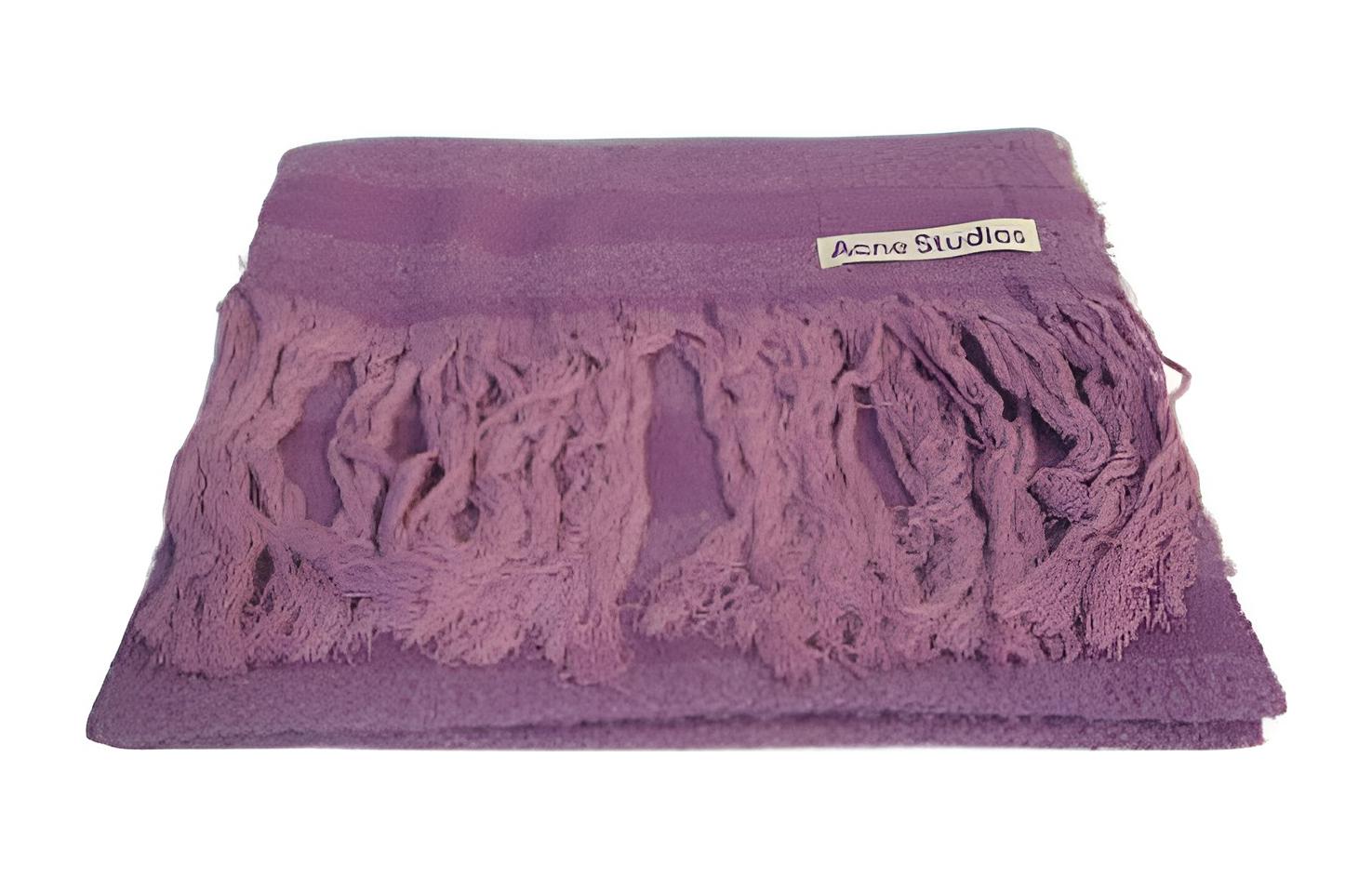 Acne Studios Knit Scarves Women's Purple