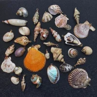 Shell Beads