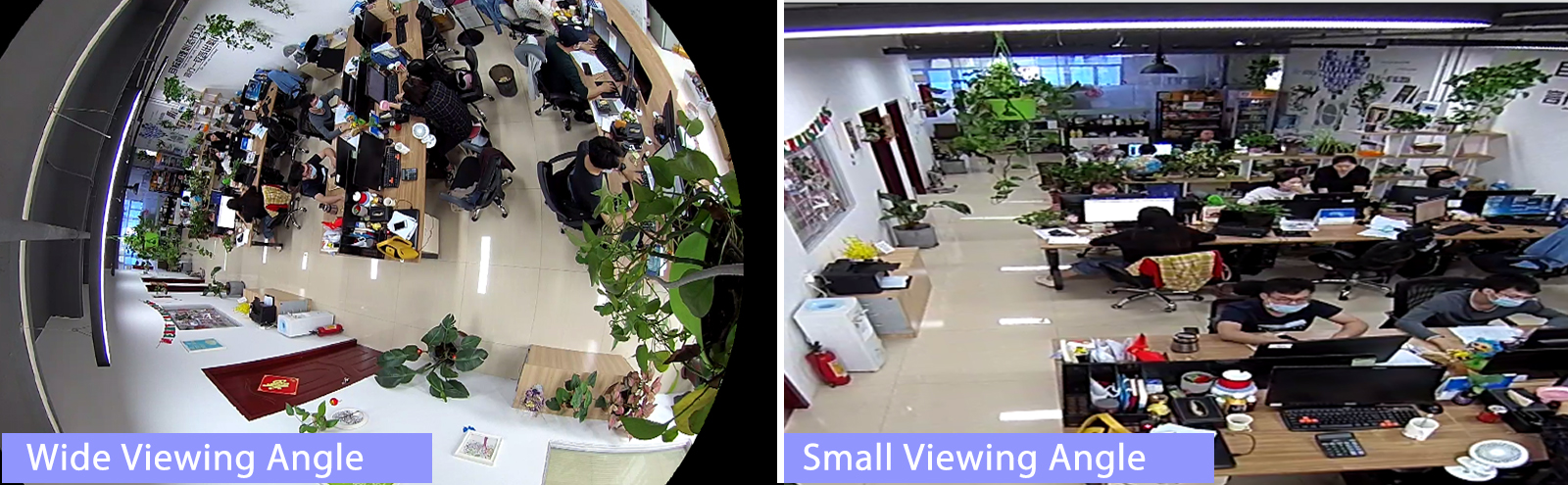 5 MP Fisheye IP Camera