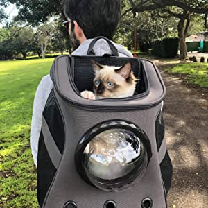 cat backpack