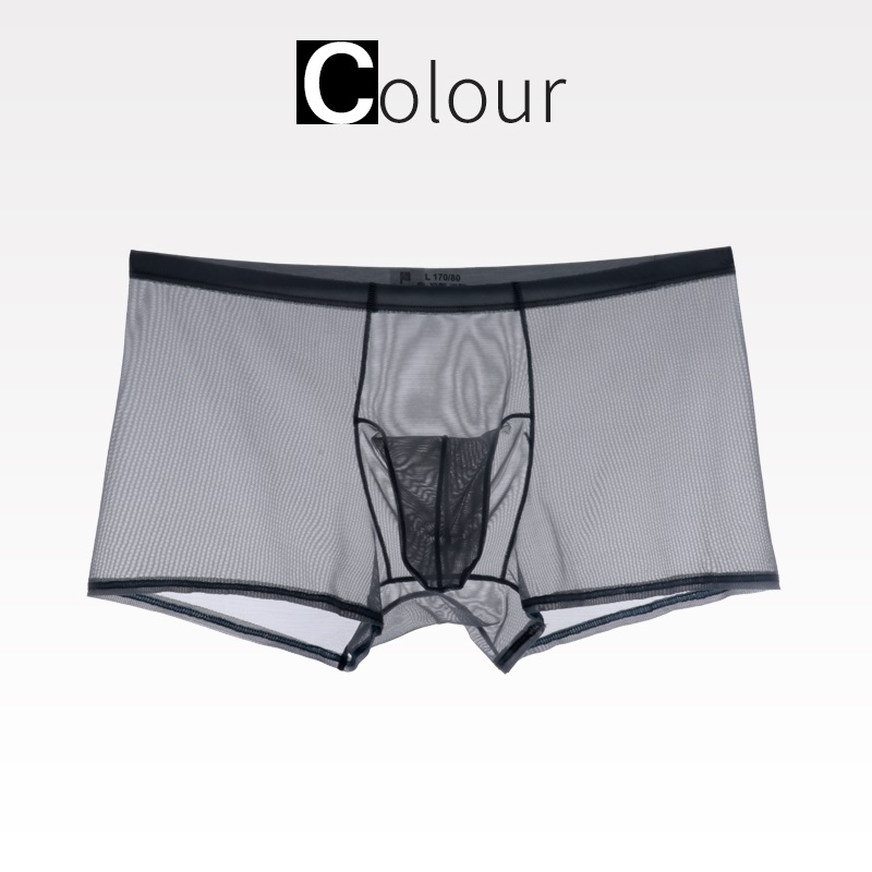 Men's Boxer Shorts Ice Silk Thin Breathable Elephant Nose Sexy Transparent Mesh Boxer