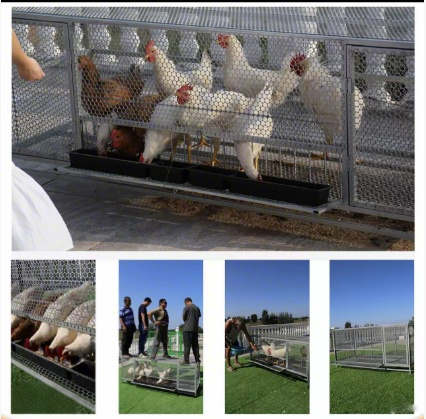 1e4df8e91bb45f8006c207c4b350bf57