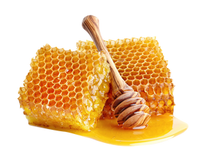 YUNPSO® VitiHeali Yellowjacket Neurotoxic fluid Extractm Cream Ultra 36 YUNPSO® VitiHeali Yellowjacket Neurotoxic fluid Extractm Cream Ultra