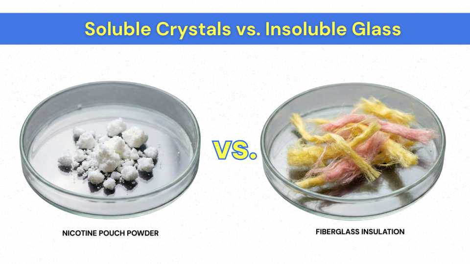 does smokeless tobacco have fiberglass in it Do Nicotine Pouches Have Fiberglass? The Science of the 