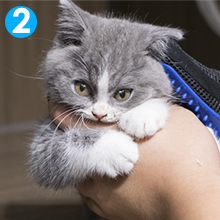 Pet Grooming Gloves
