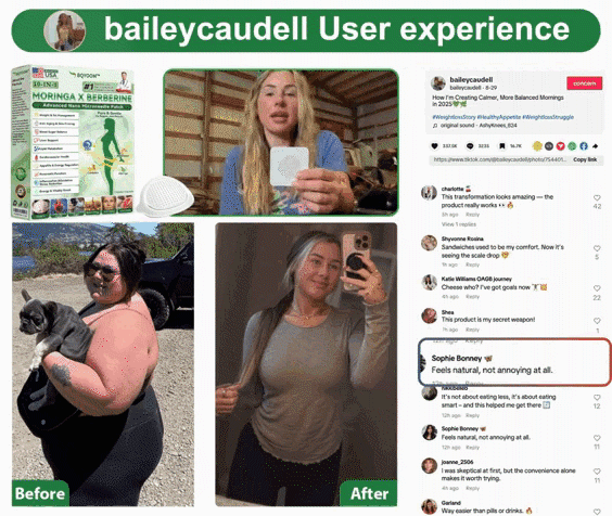 2a76d6a9f0f37a2c76633d57478b08b4