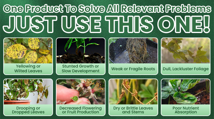 LIMETOW® Plant Resurrection Liquid image LIMETOW® Plant Resurrection Liquid