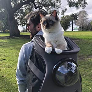 cat backpack