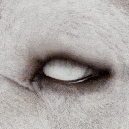 Animation of nano-particles penetrating the eye