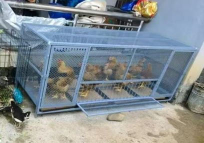 2eac5ab2b01a79b262f0ac745204d9b4