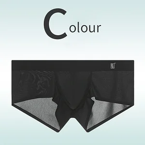 Ice Silk Seamless Transparent Ultra-Thin Boxer Briefs