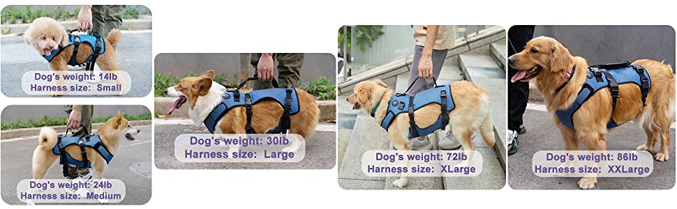 Coodeo dog lift harness