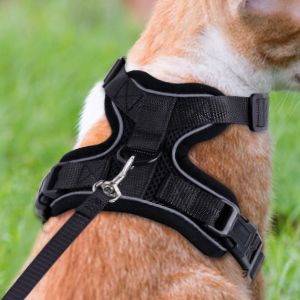 cat harness and leash set small cats vest harnesses with leash small pets walking harness adjustable