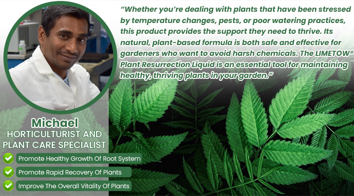 LIMETOW® Plant Resurrection Liquid image LIMETOW® Plant Resurrection Liquid
