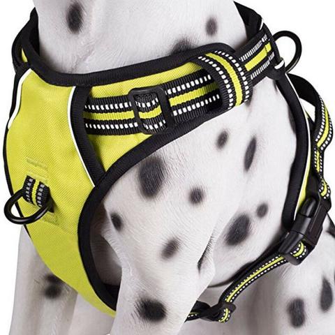 no pull dog harness