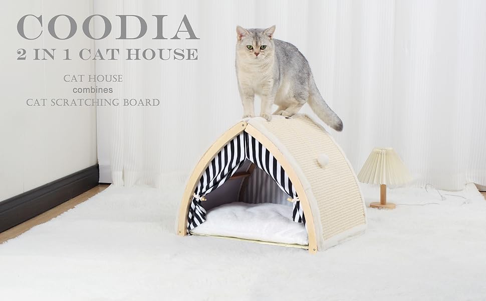 cat house with scratching board