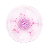 ODALIT® FertiliPatch Microneedle Fertility Enhancement System
