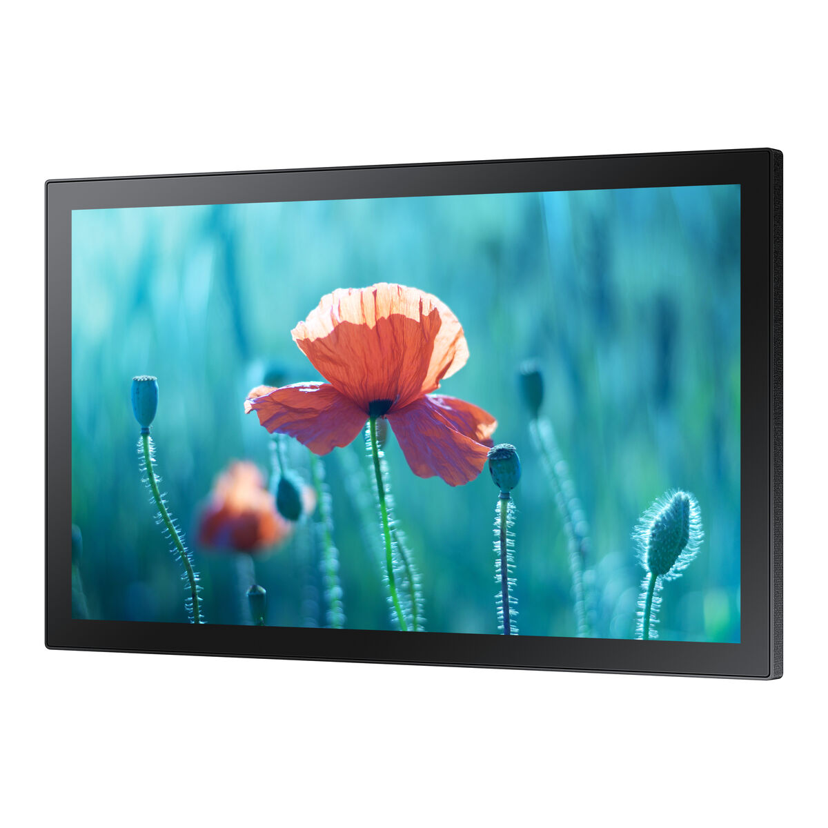 Videowall Monitor Samsung LH13QBRTMGCXEN Full HD 13" 75 Hz