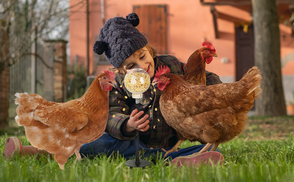 Chicken Peck Toy, Interactive Slow Feed Release Toy for Your Flock 3babe85cf221a1e6c416d19ab000fc86