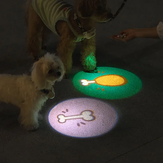Dog Lights For Night Walking  | Robotime Online