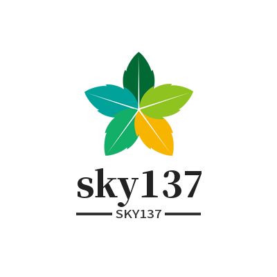 sky137.com