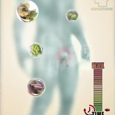 GIF 3