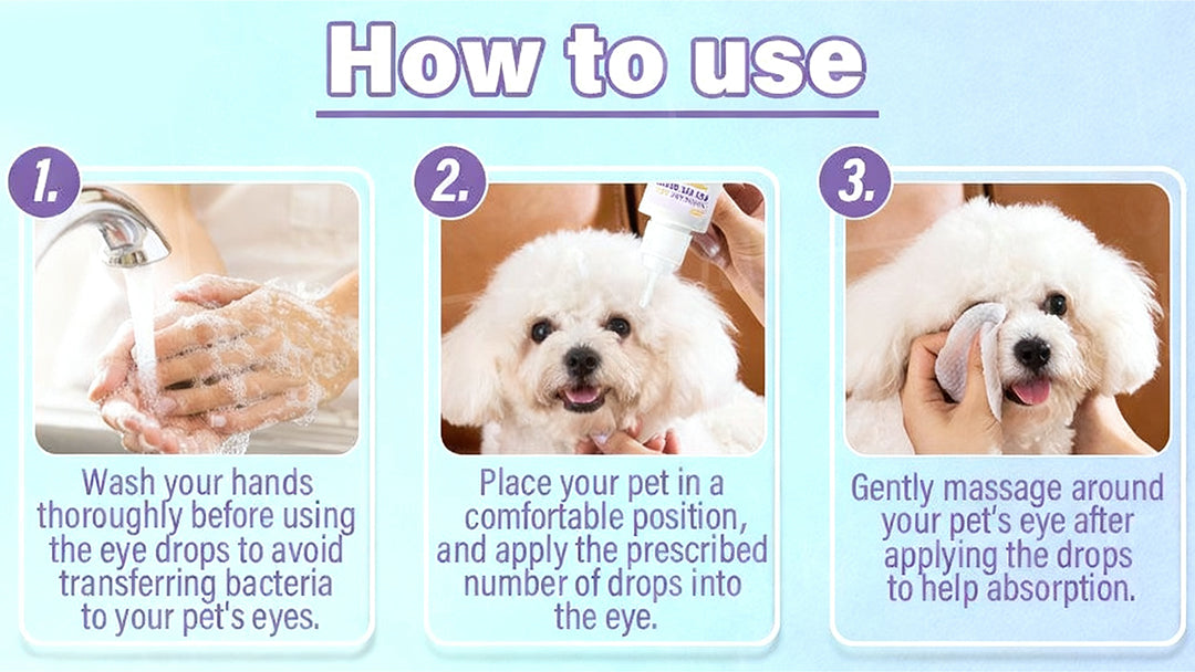 How to use the eye drops on a pet