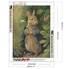 Lapin Complète Carré Diamant Peinture 30X40CM