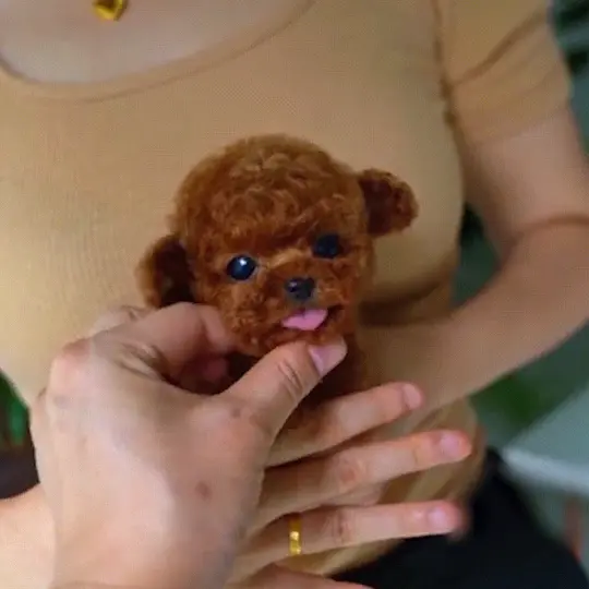 487ba47399f3d7f78bc837d036fad2b4