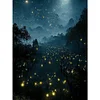 Diamond Painting -DIY Round Drill Forest Fireflies
