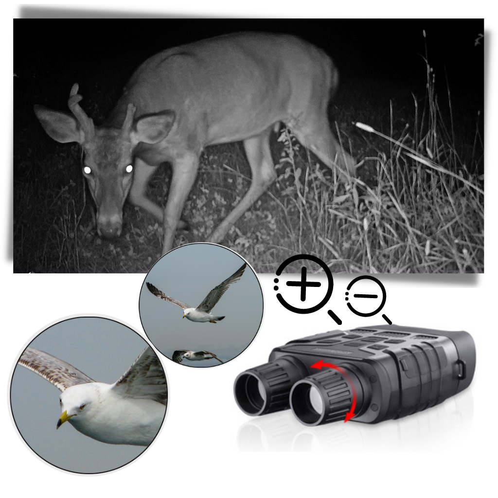 Night Vision Binoculars - Long-range night vision - Ozerty