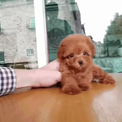 507431e5b02f238474b6a76f3dda2d10