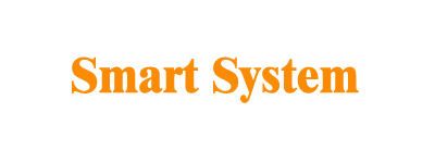 Smart System Drives Corporation Limited