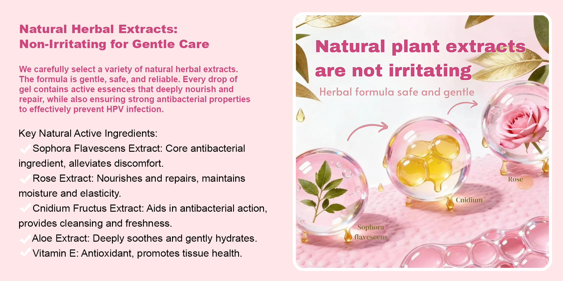 Nicerose Gynecological Gel